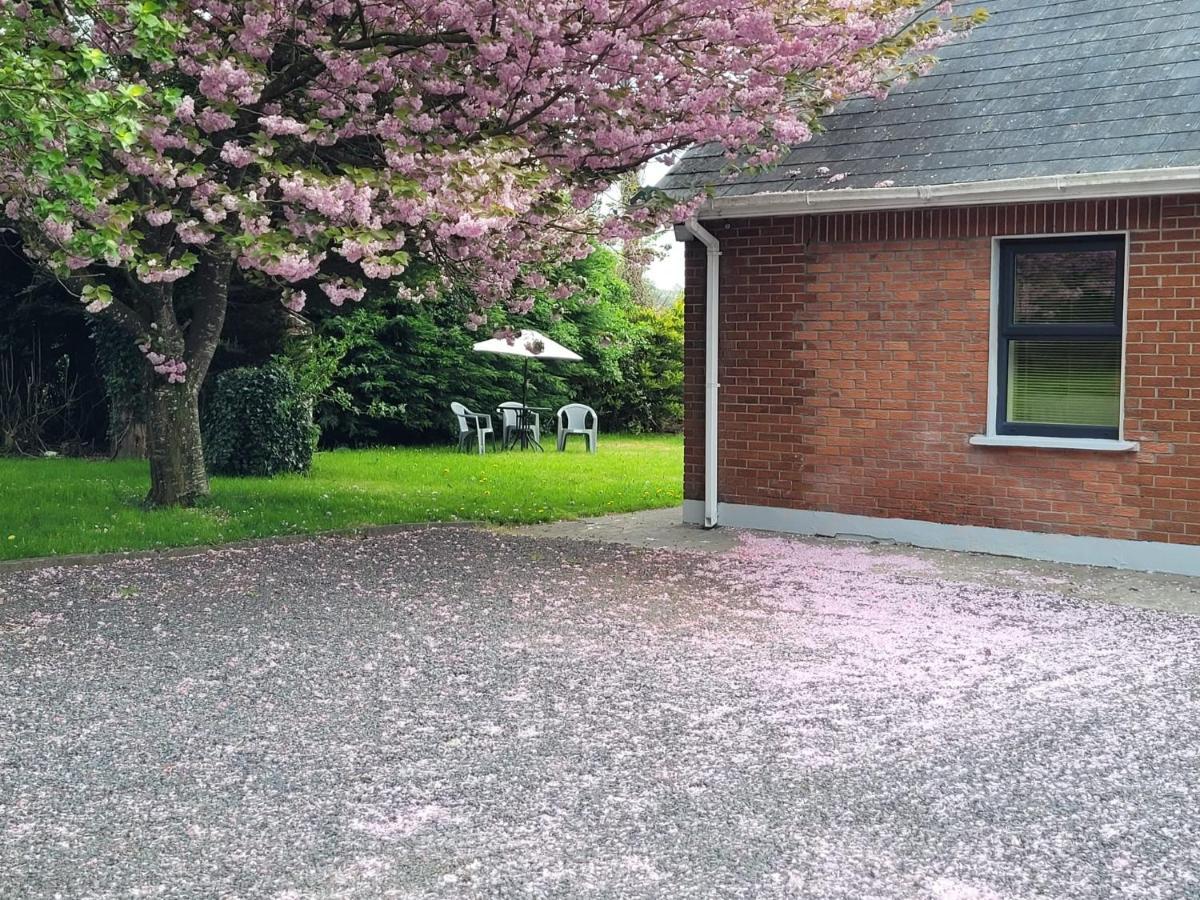 Beechwood House ,Apartment C15Ya44 Slane Extérieur photo